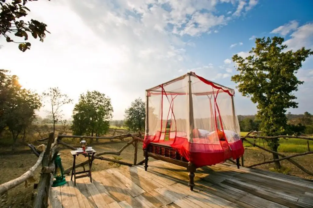 Sleep with the Tigers in Pench, India