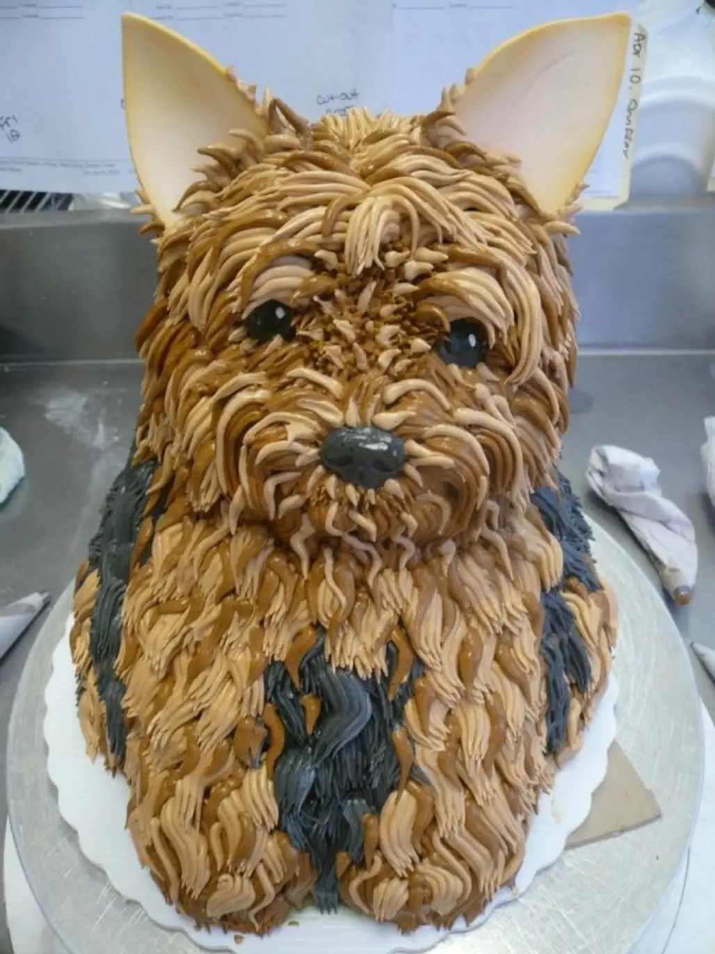 Yorkshire Terrier Cake