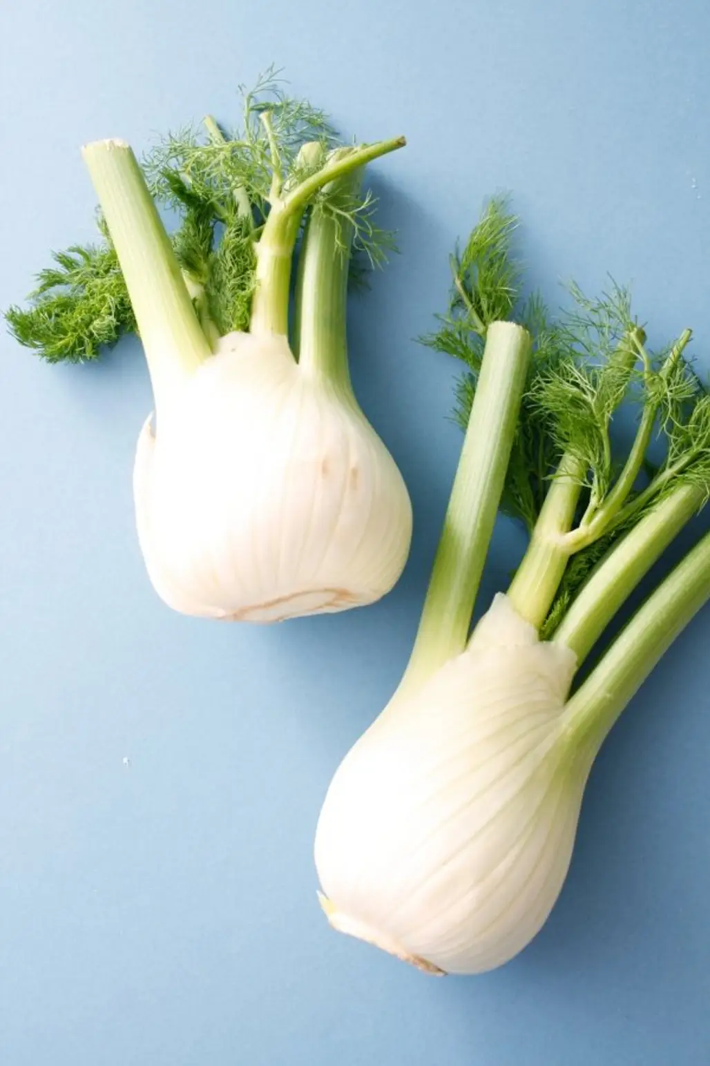 Fennel for Digestion