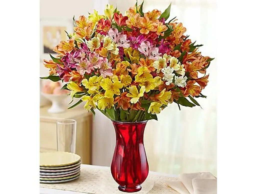 flower arranging,cut flowers,flower,flower bouquet,floristry,