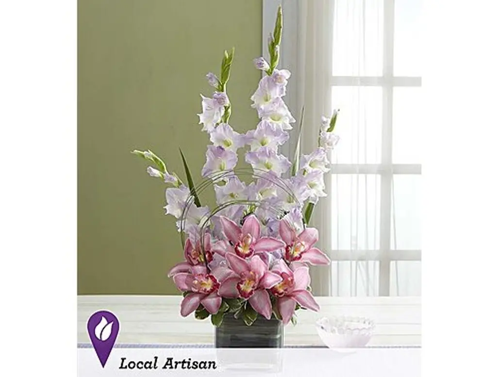 flower,flower arranging,pink,plant,moth orchid,