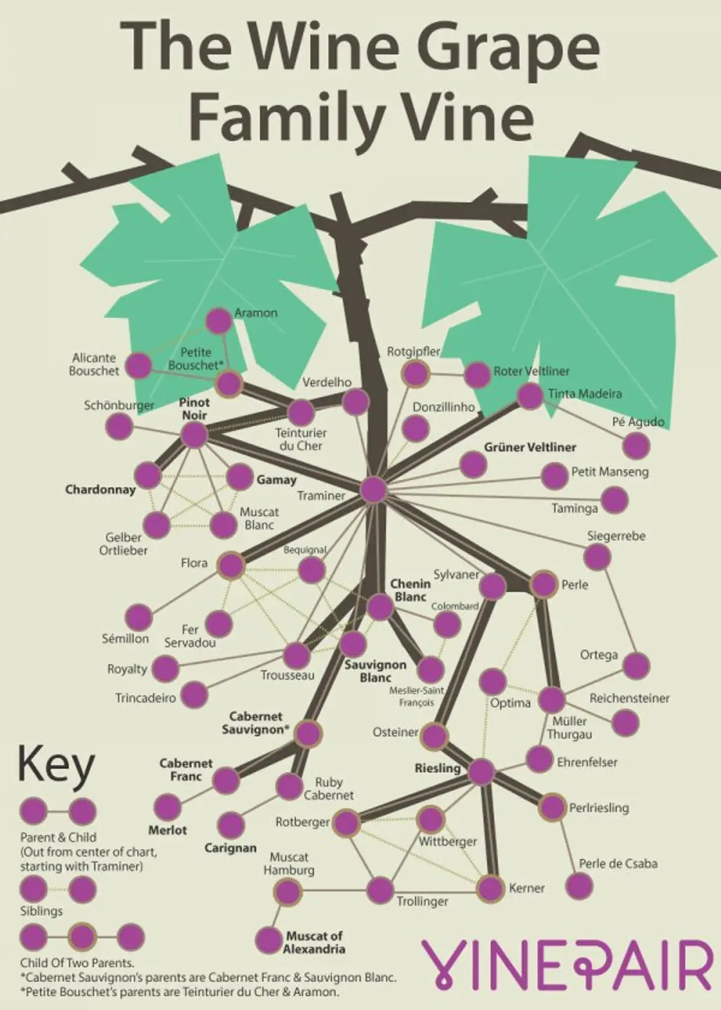 It's Kind of like a Family Tree, but for Wine