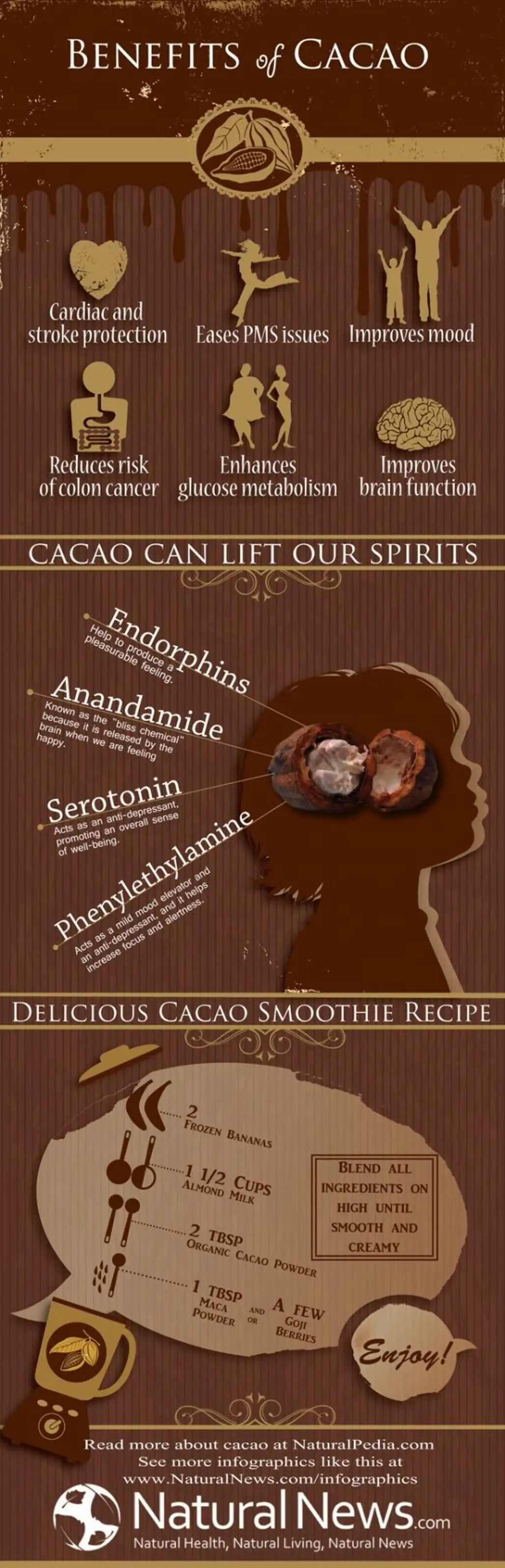 Benefits of Cacao