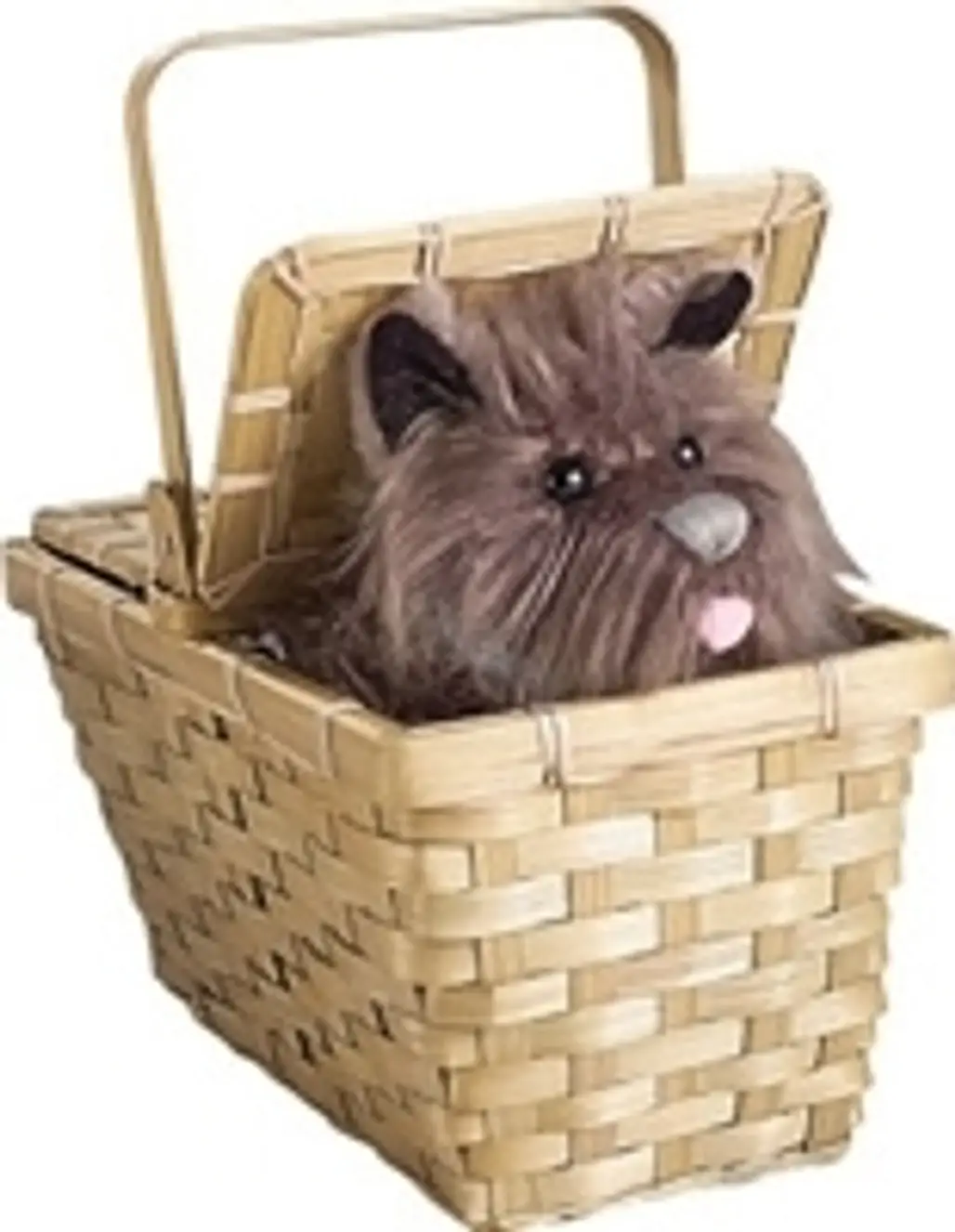 Wizard of Oz Toto in a Basket