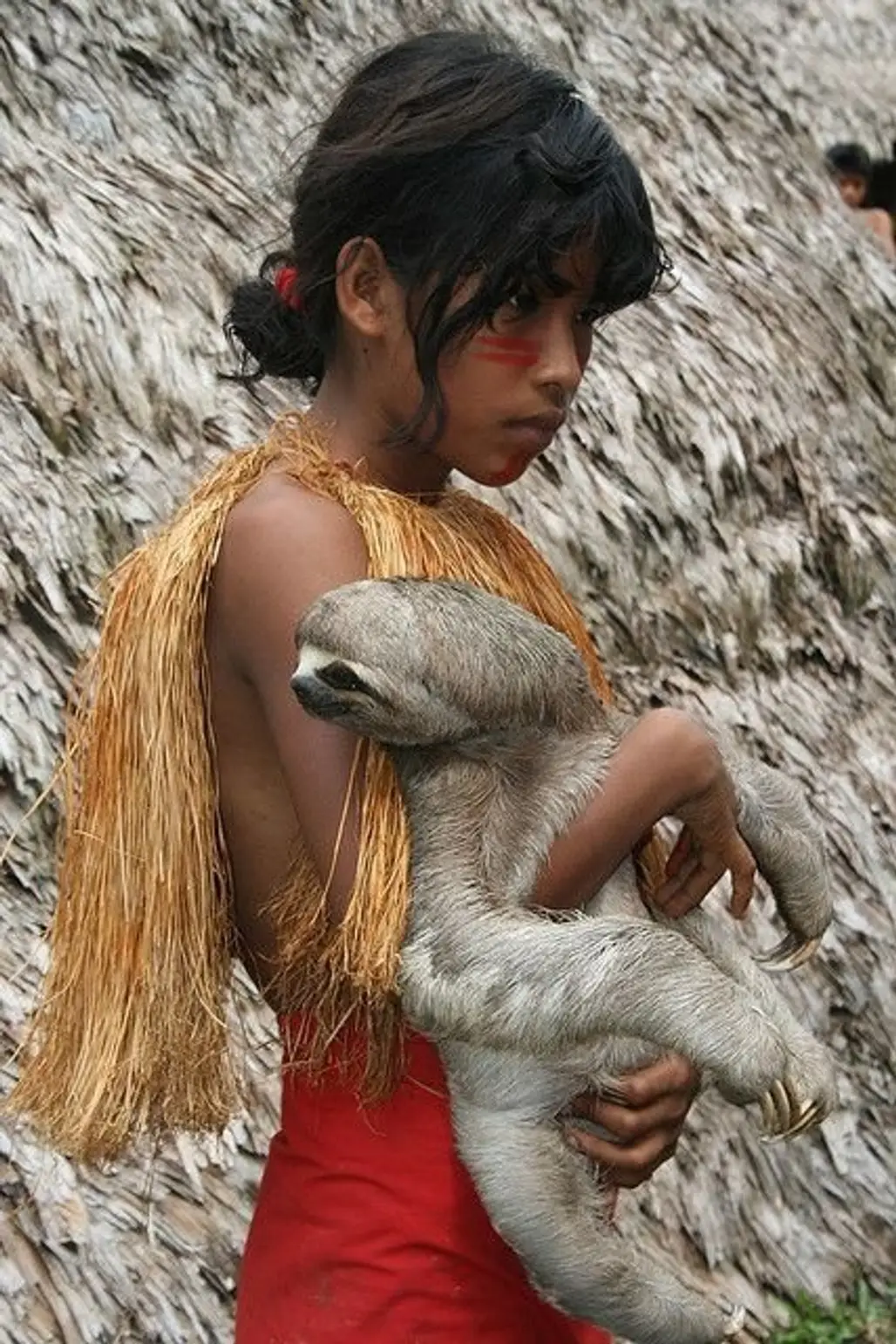 Yagua Indian Girl with Sloth in Amazonian Peru