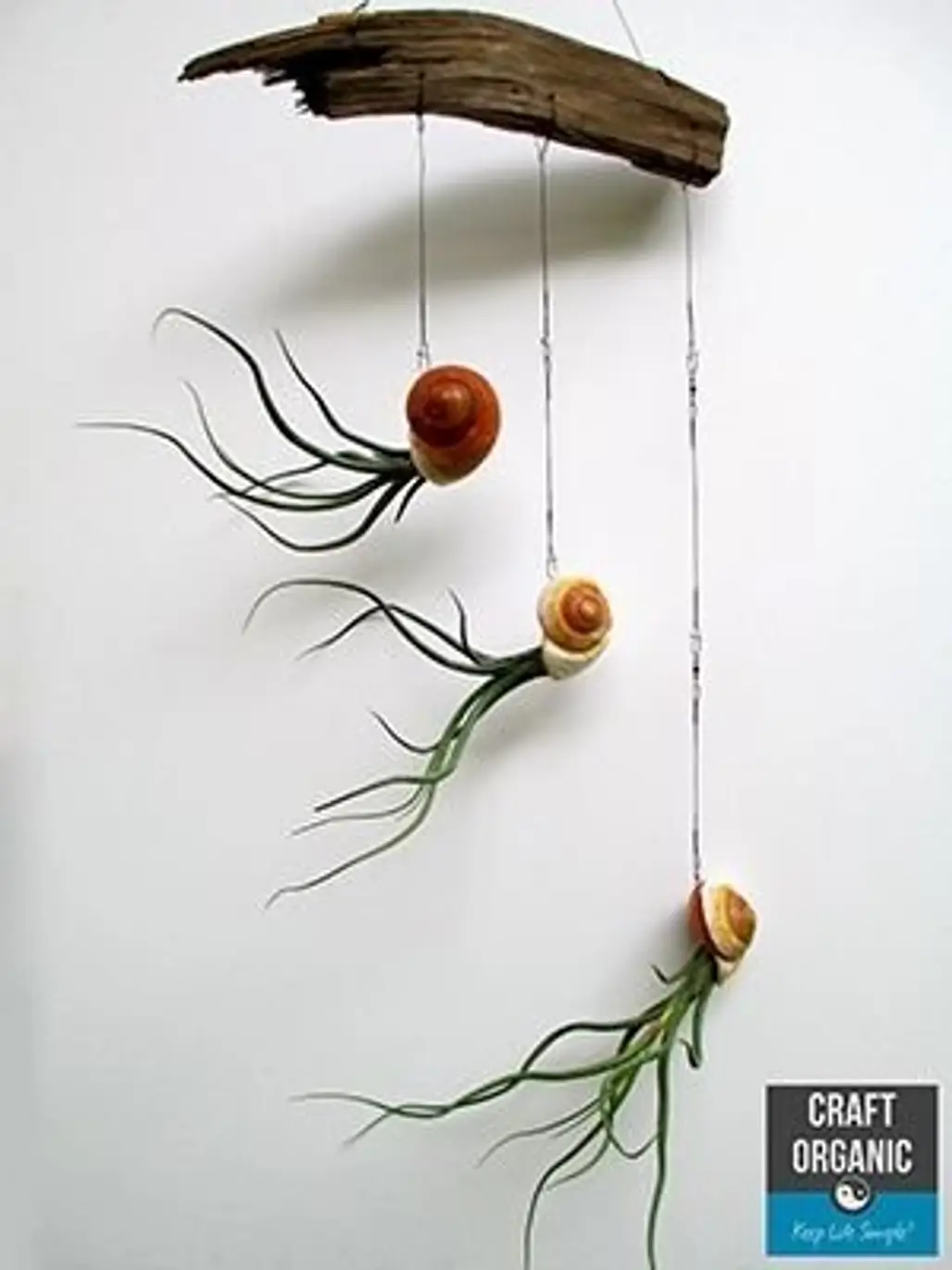 branch,twig,flower,art,leaf,