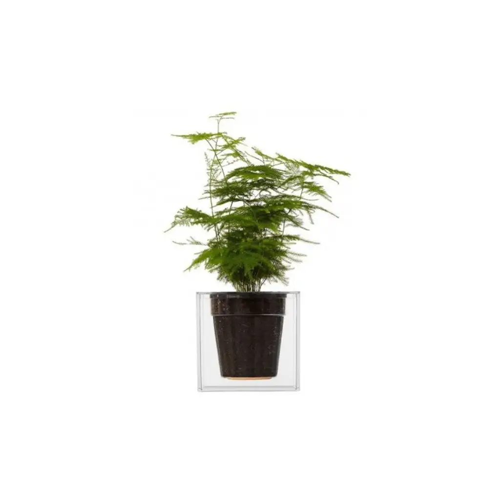 Boskke Cube Clear Plant Pot
