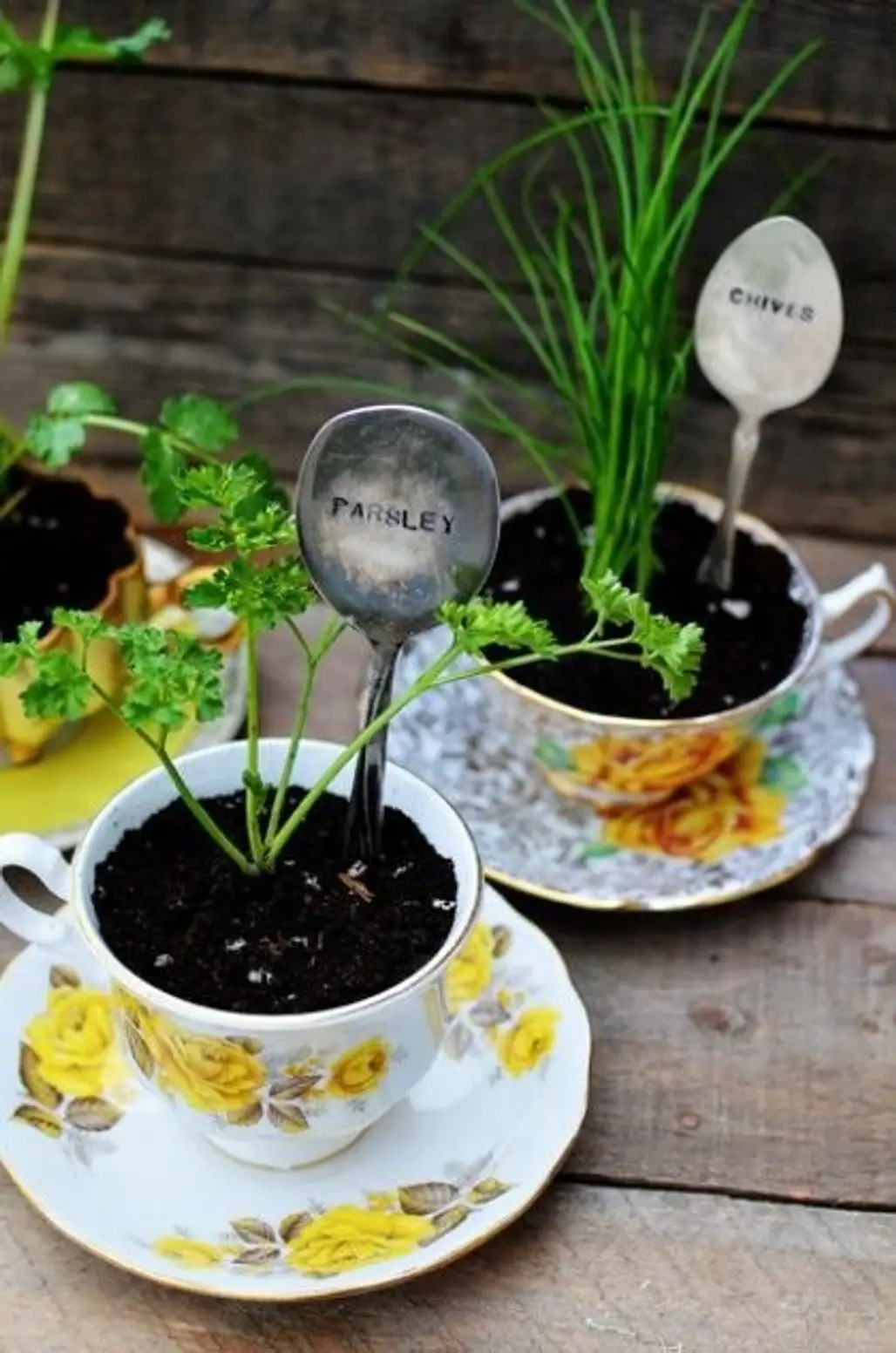 Herb Containers