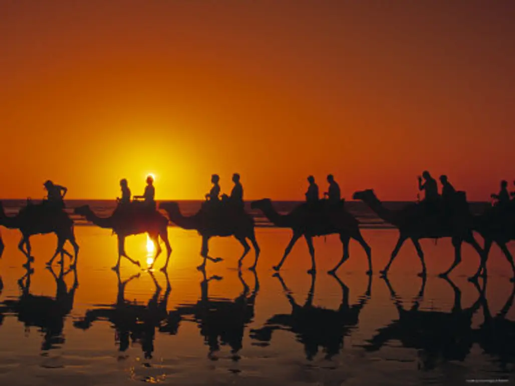 Ride a Camel in Western Aussie...