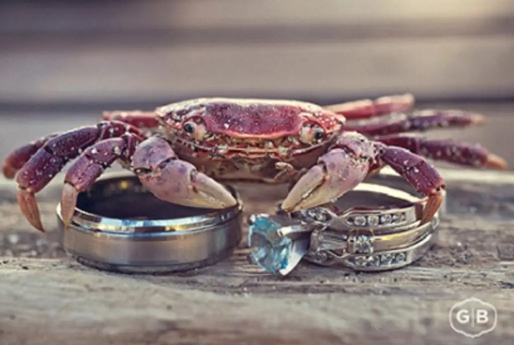 Summertime Crabs...