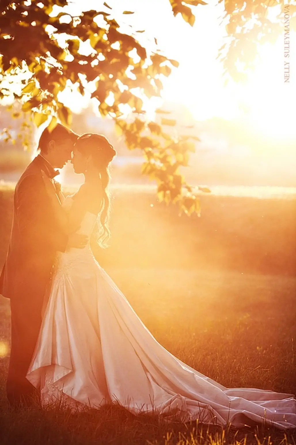 Top 10 Most Romantic Wedding Photo Ideas You'll Love -   Blog