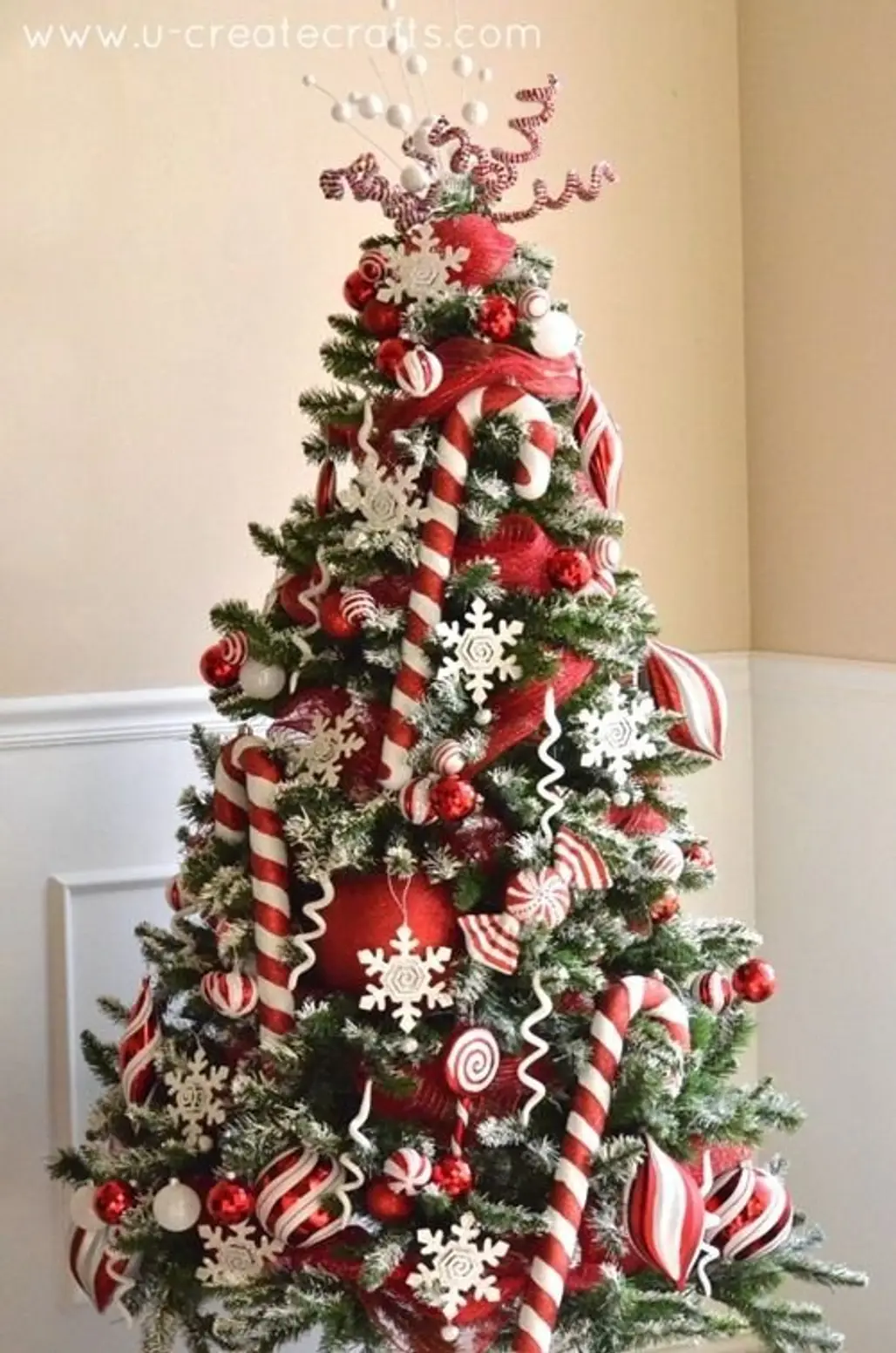 christmas tree,tree,christmas decoration,fir,decor,