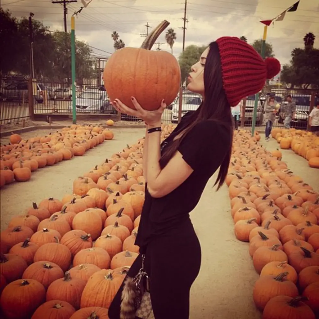 Take a Picture with 'the PERFECT' Pumpkin