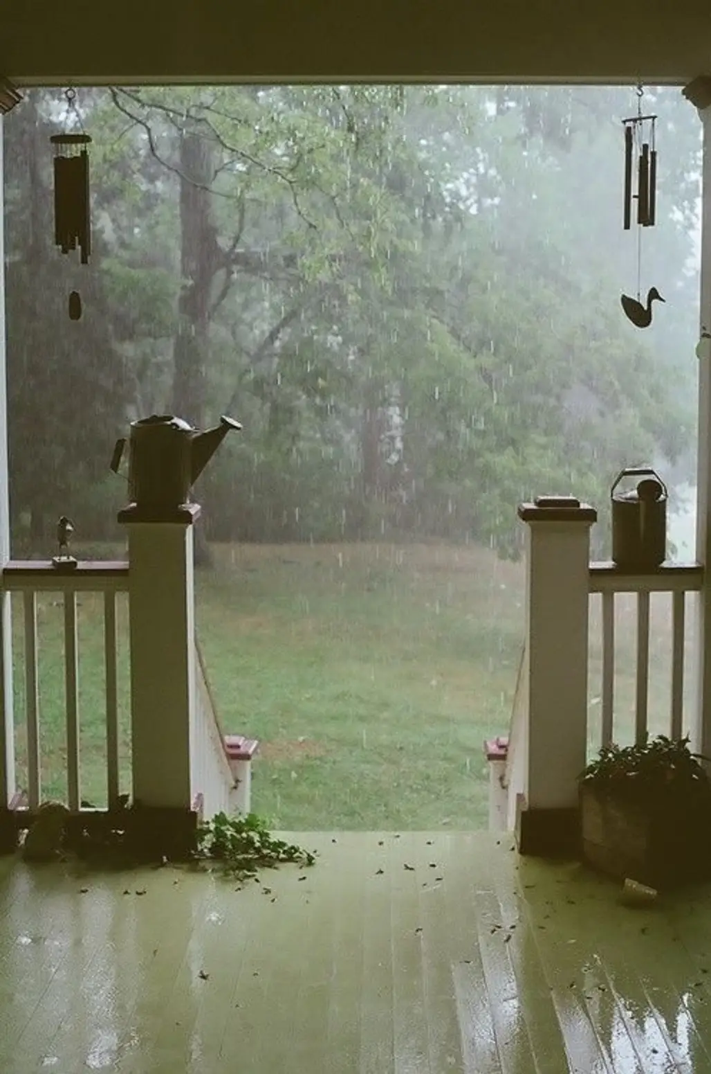 Summer Rain, Brentwood, Tennessee