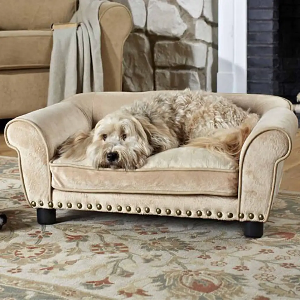 furniture, couch, dog breed, loveseat, dog,
