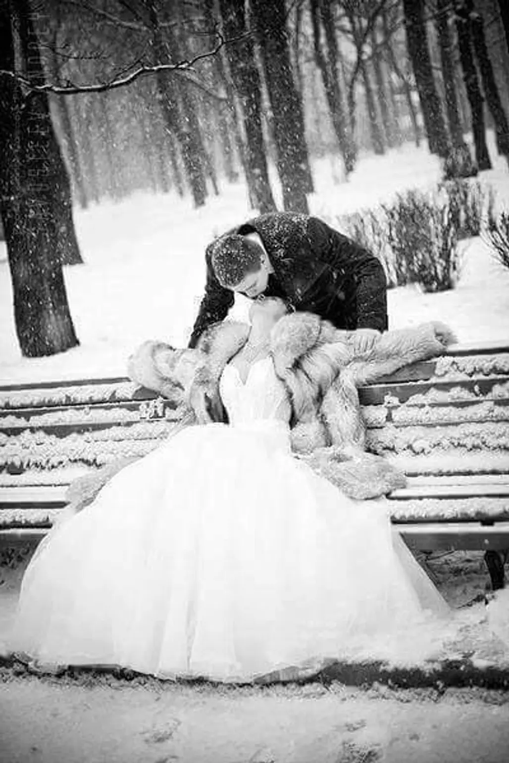 photograph, snow, black and white, winter, bride,