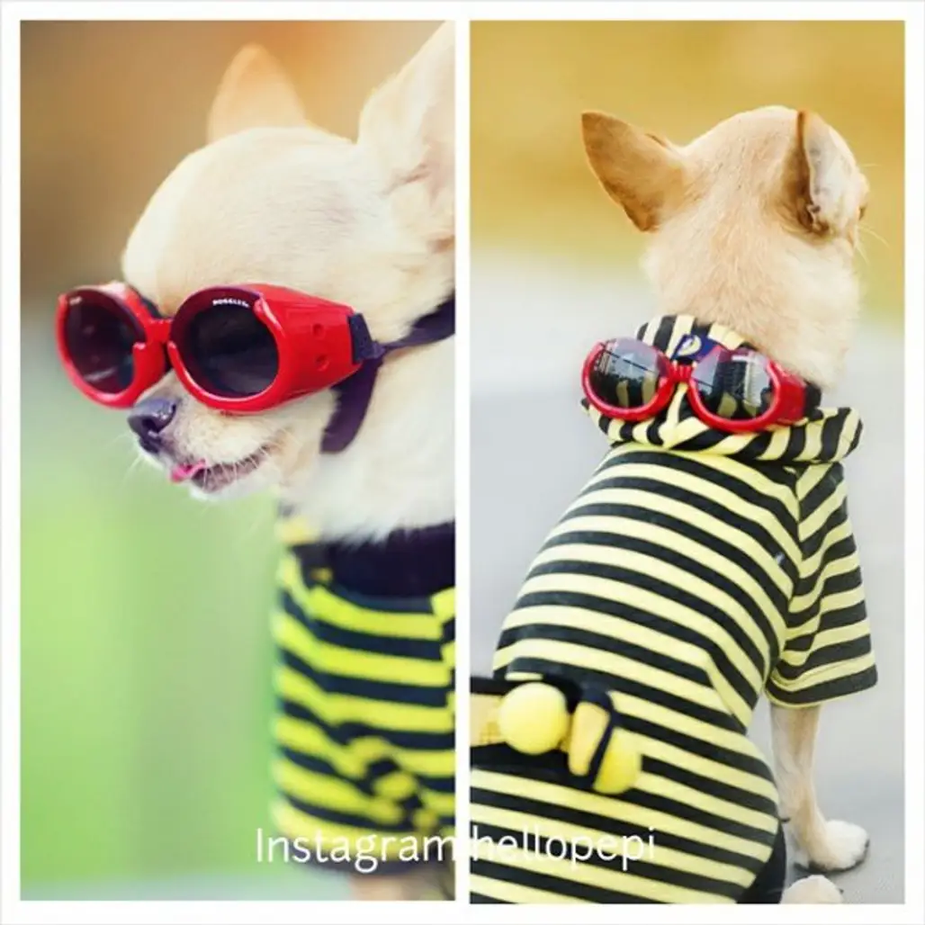 @hellopepi shows you that stripes are in