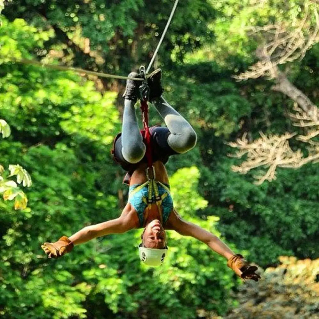 Go Ziplining in the Tropical Rainforest of Costa Rica