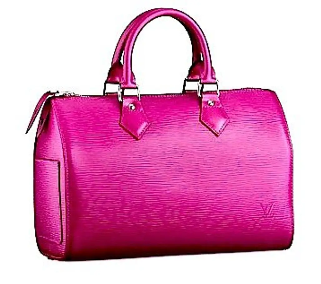 Louis Vuitton Epi Leather Speedy 25 Bag