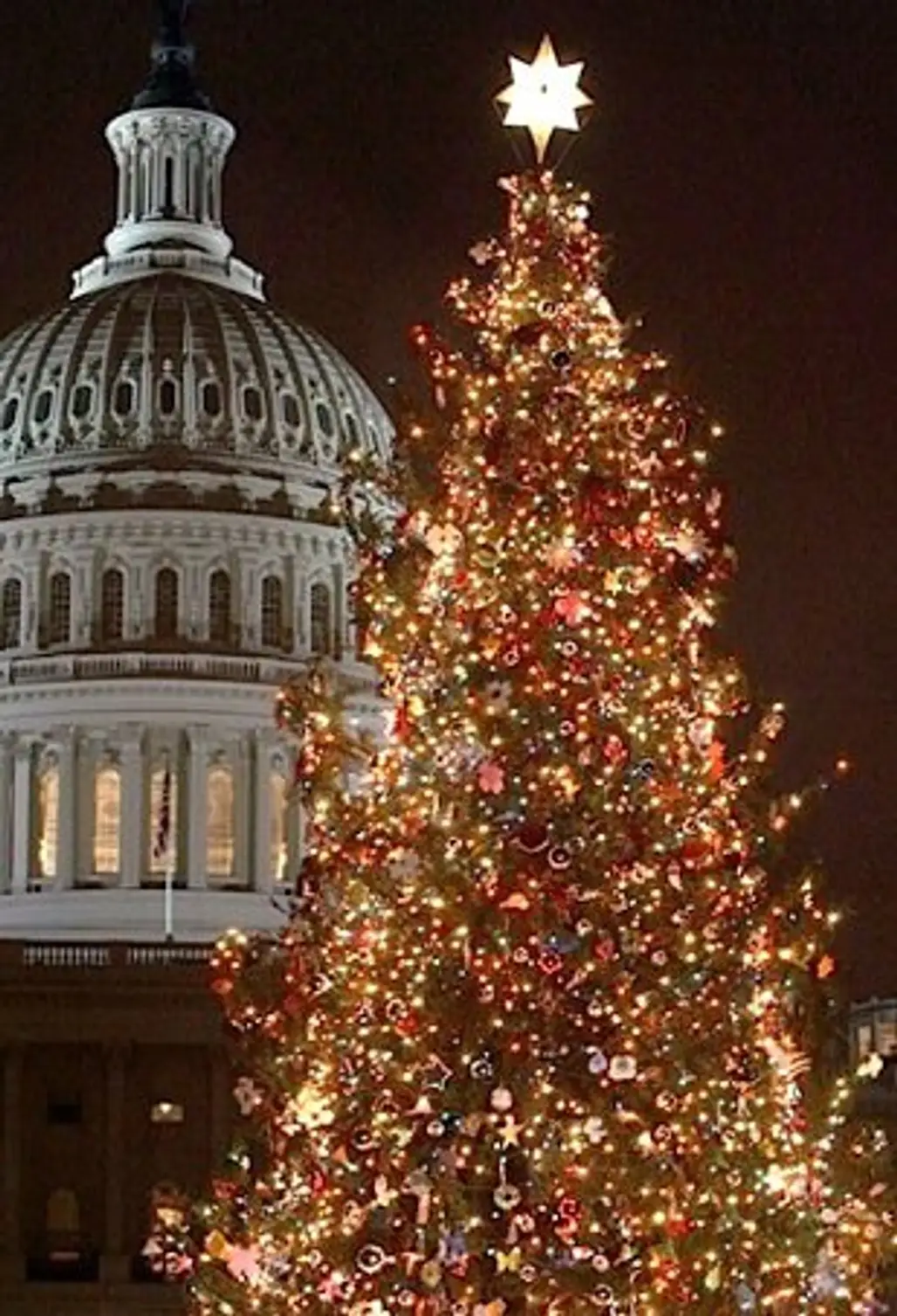 The Capitol Christmas Tree in Washington, D.C