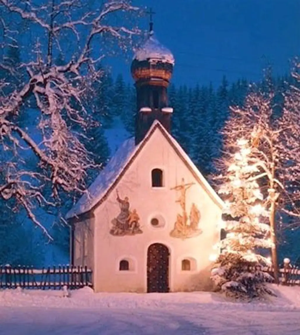 Christmas Tree in Germany's Karwendel