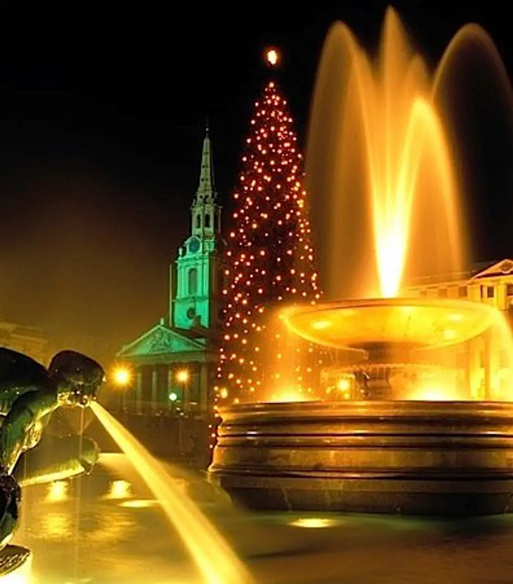 Christmas Tree at Trafalgar Square, London