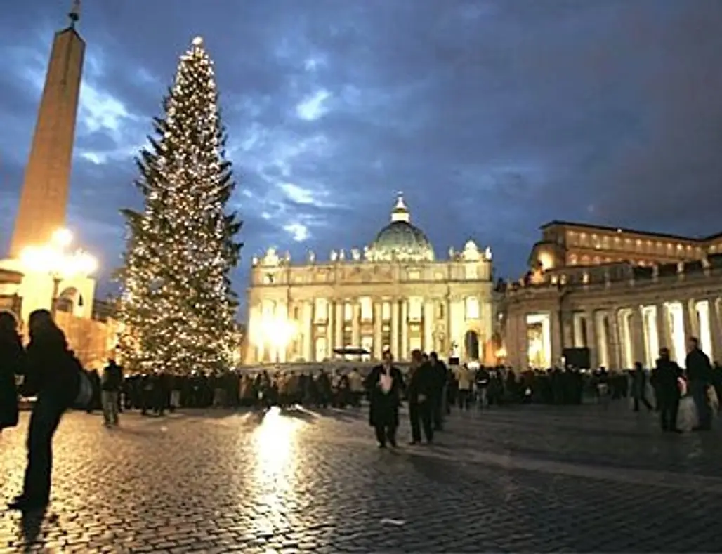 Christmas Tree in St. Peter's Square in Rome