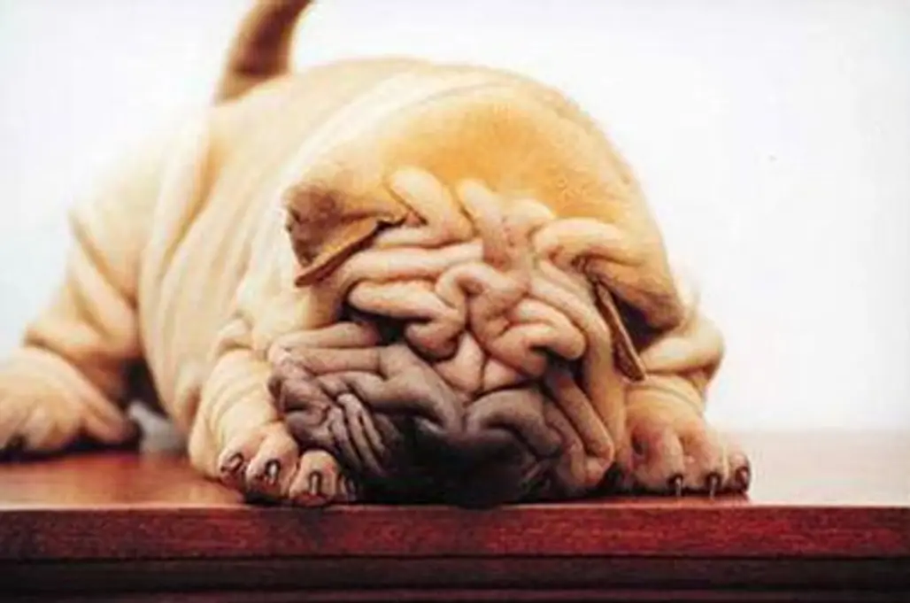 Wonderful Wrinkles...