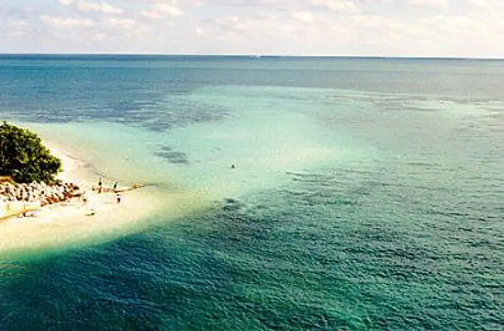 Florida Keys Please...