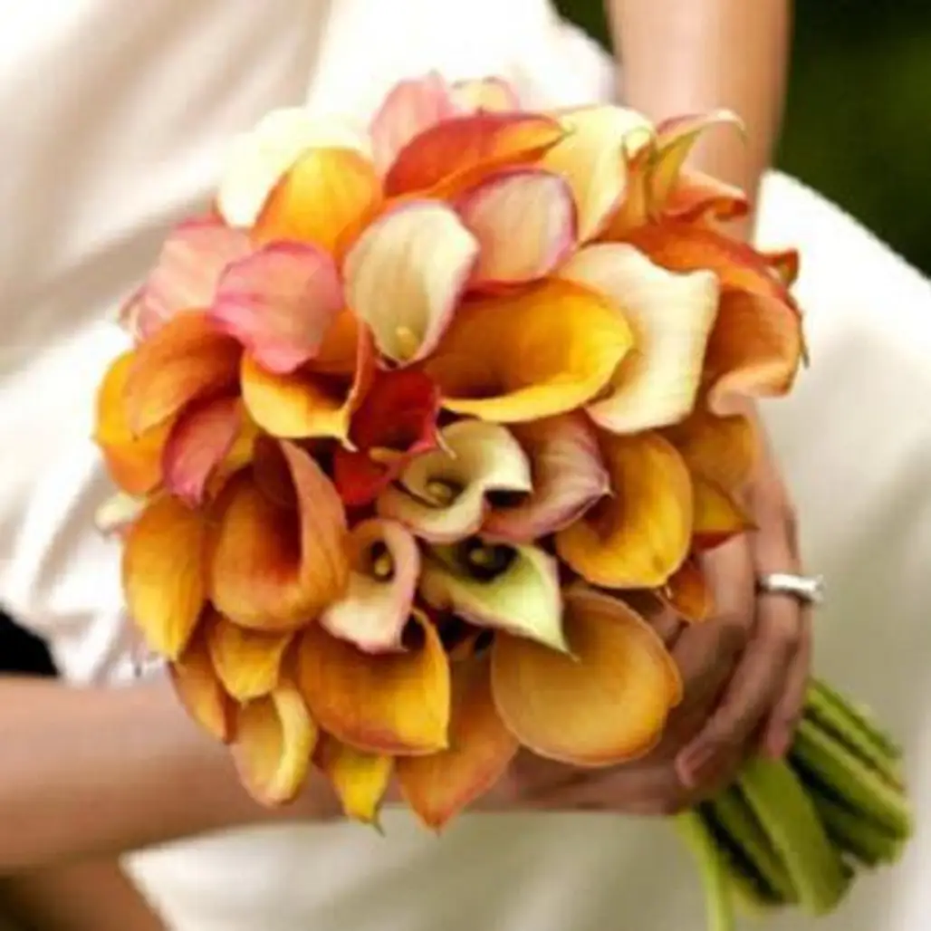Blooming Bouquets...