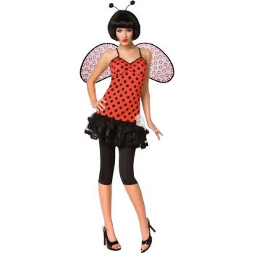 Lady Bug Costume