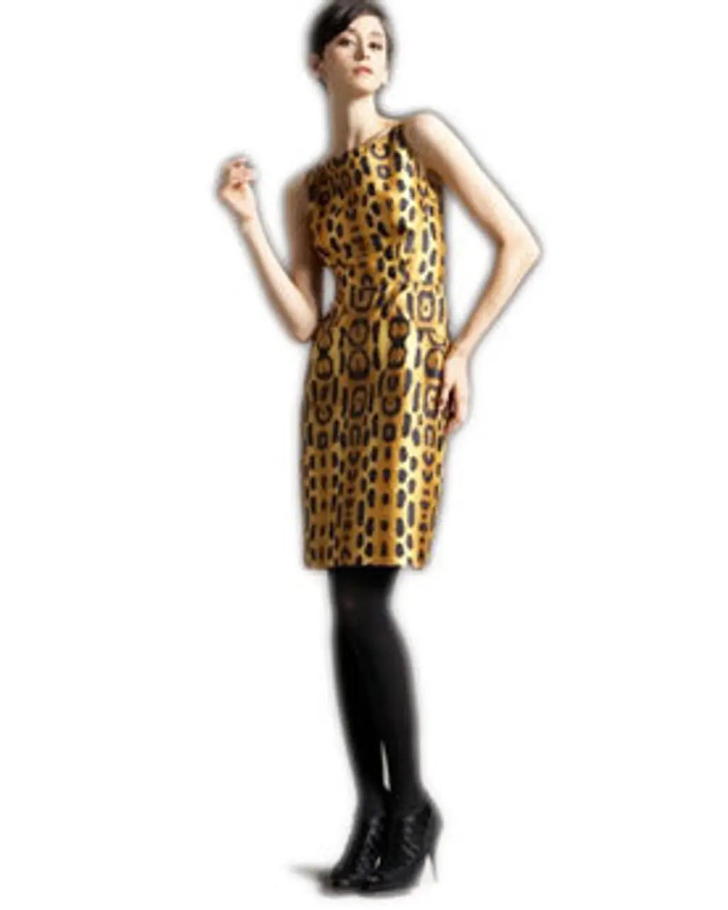 Leopard Sheath Dress