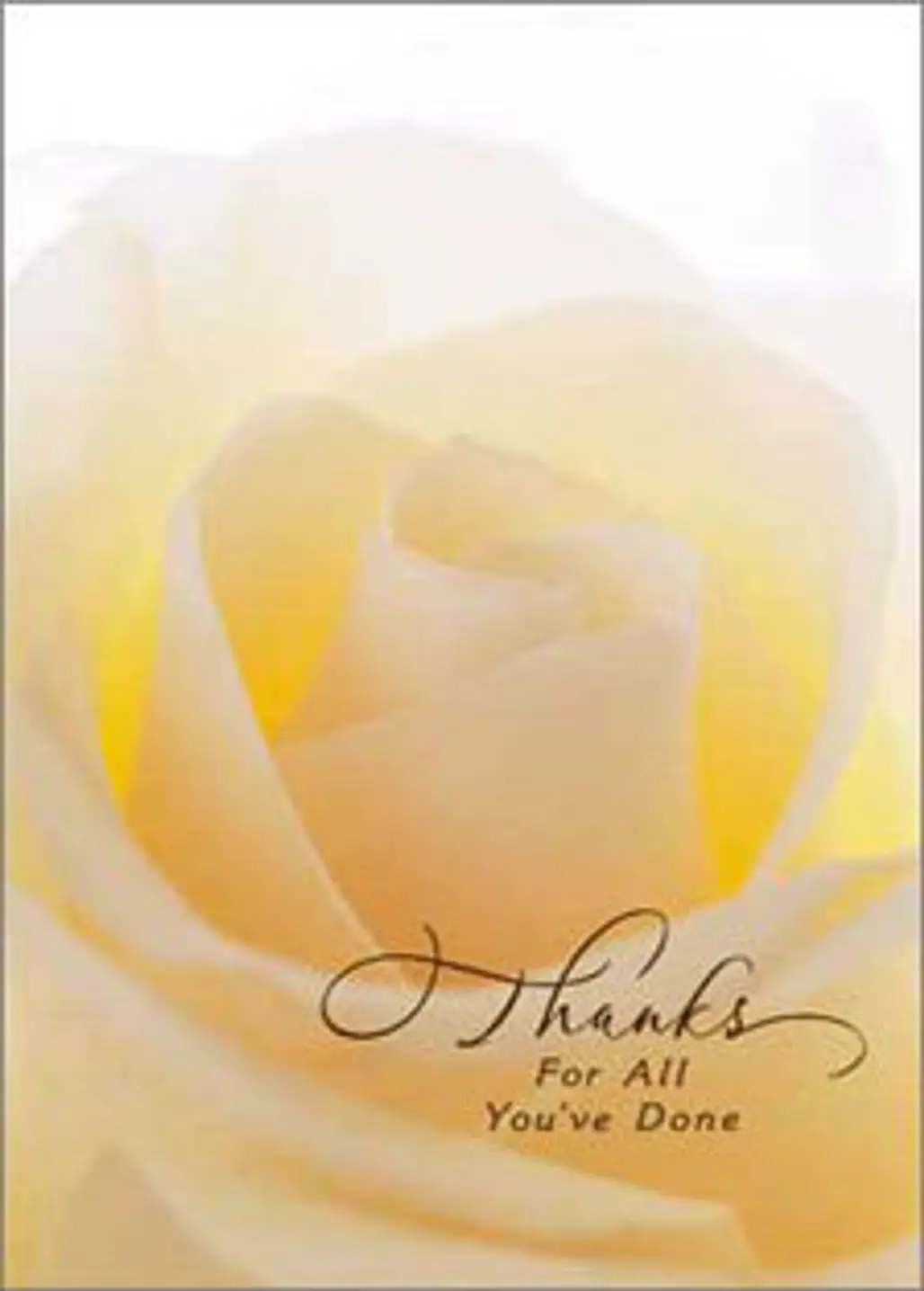 Yellow Rose Sentimental Card