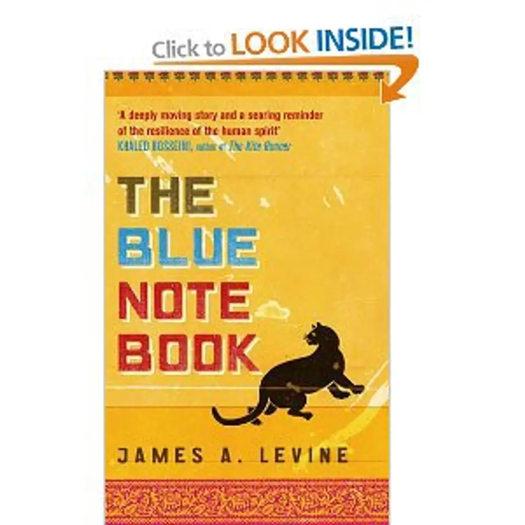 the Blue Notebook