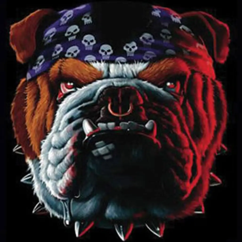 Bulldog Dog Shirt
