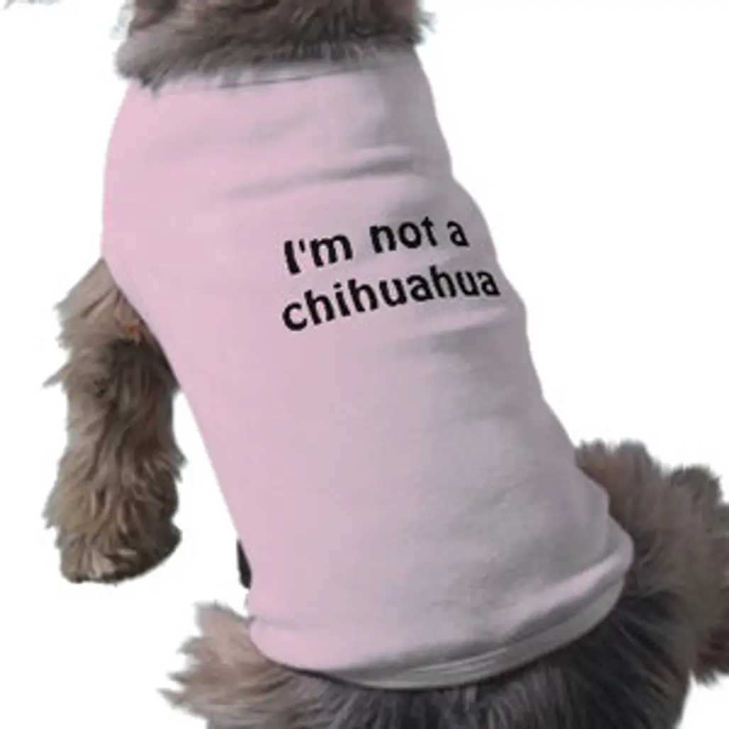 "I'm Not a Chihuahua" Pet Tee