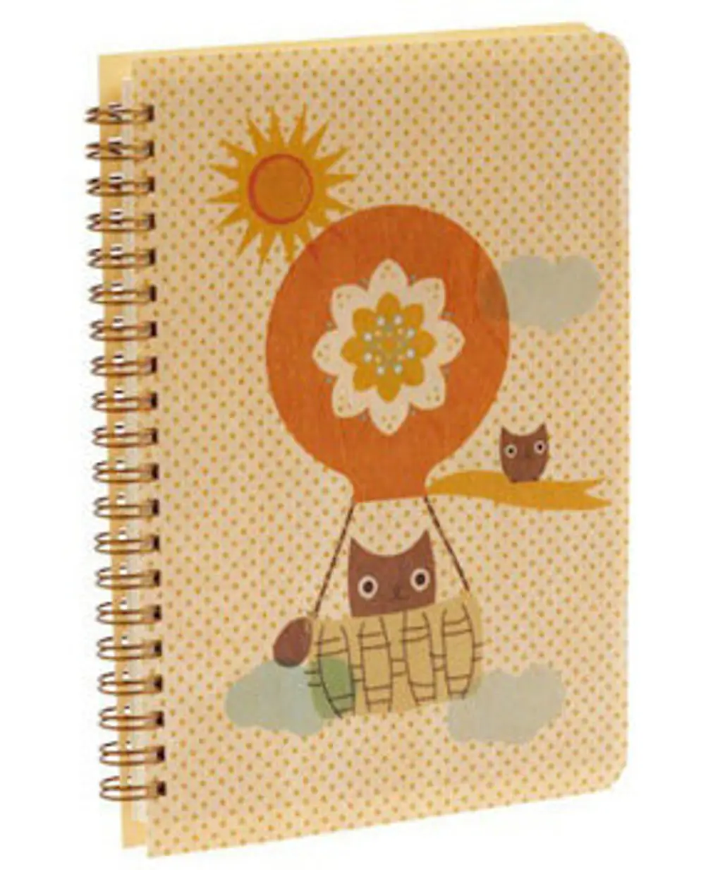 Coming Write up Notebook