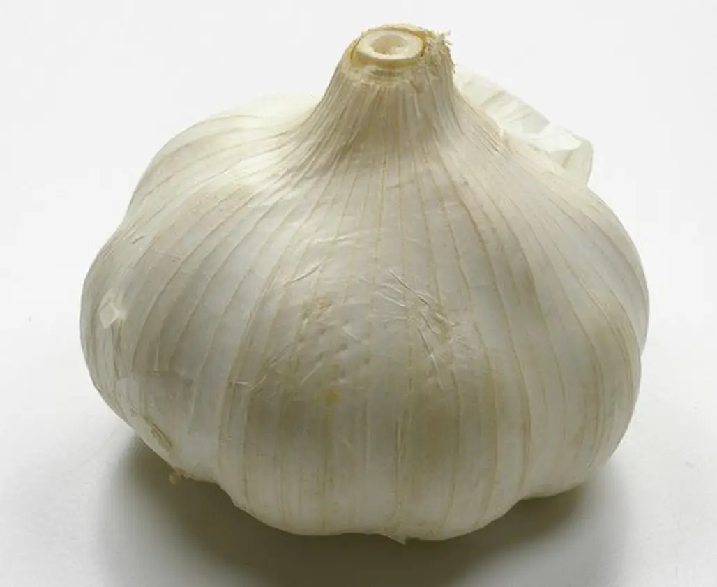 Garlic and Rock Salt