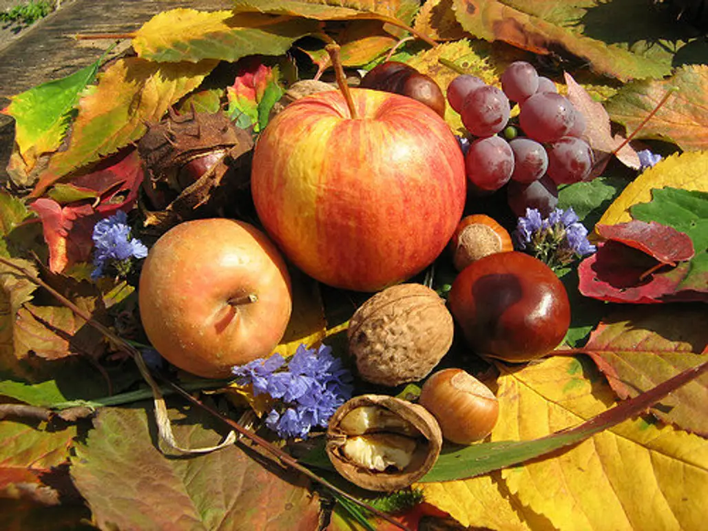 Autumn Harvest – Grape, Apple, and Blackberry