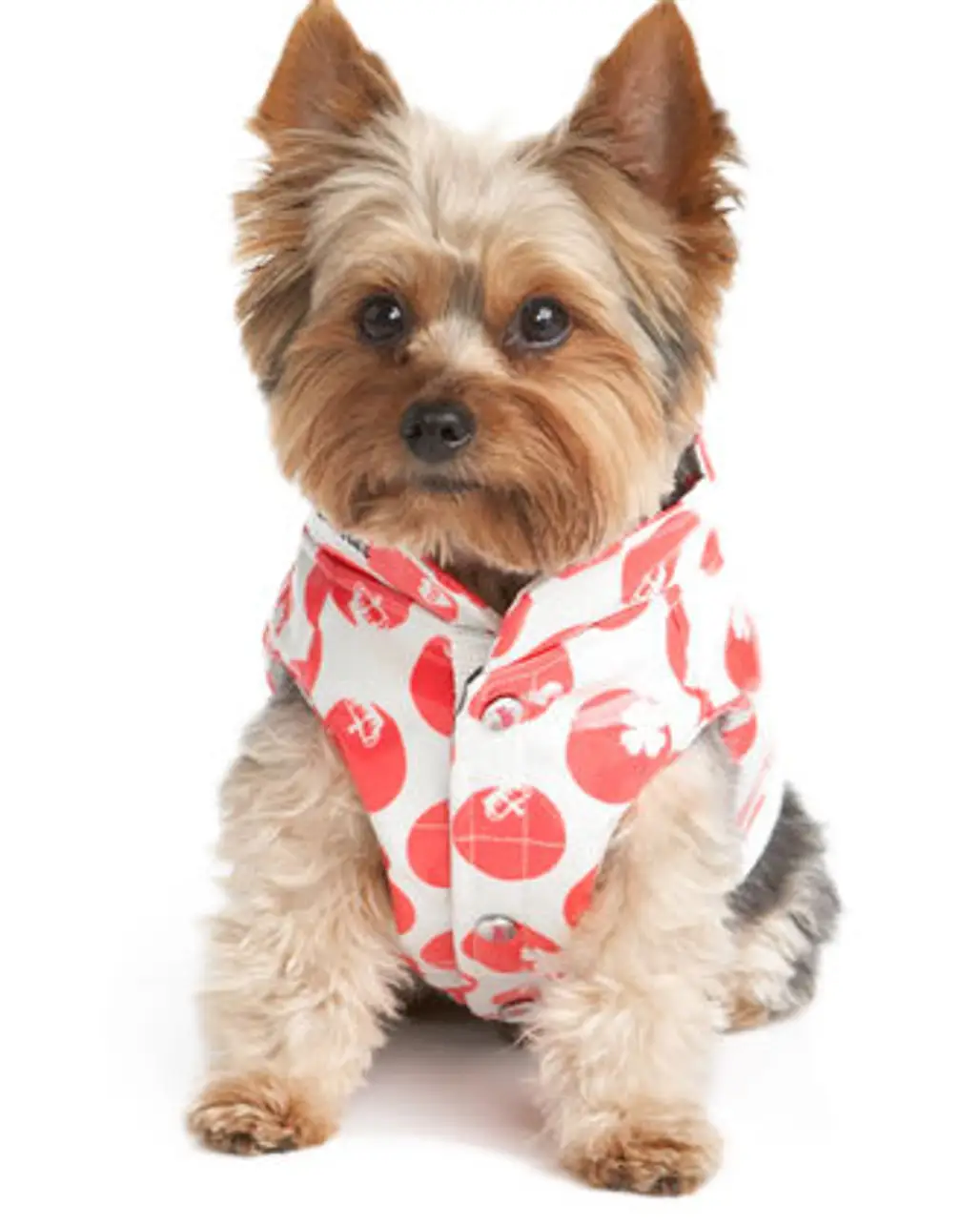 Juicy Couture Dog Charm-Dot Parka Vest
