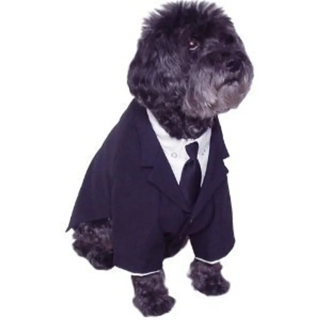 Dog Business Suit Shirt Tie