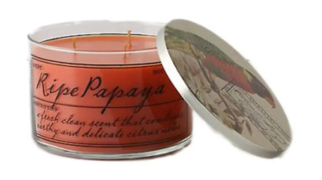 Naturalist’s Notebook Candle