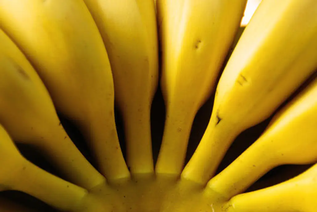 Banana-Mocha Smoothies