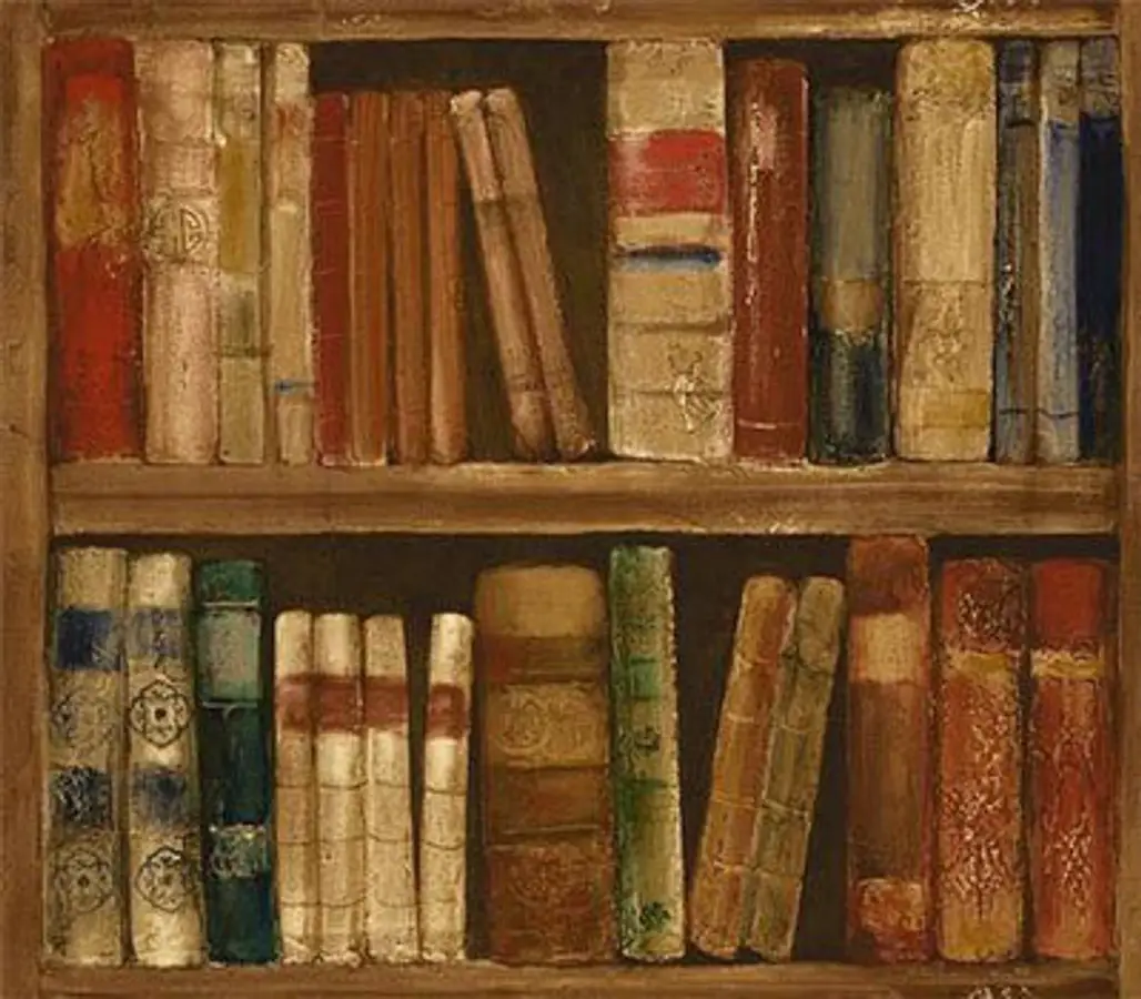 Library Bookshelf