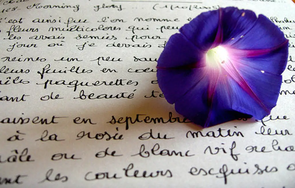 Make a Gratitude Journal