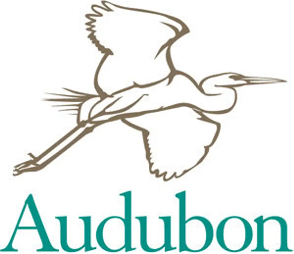 the National Audubon Society