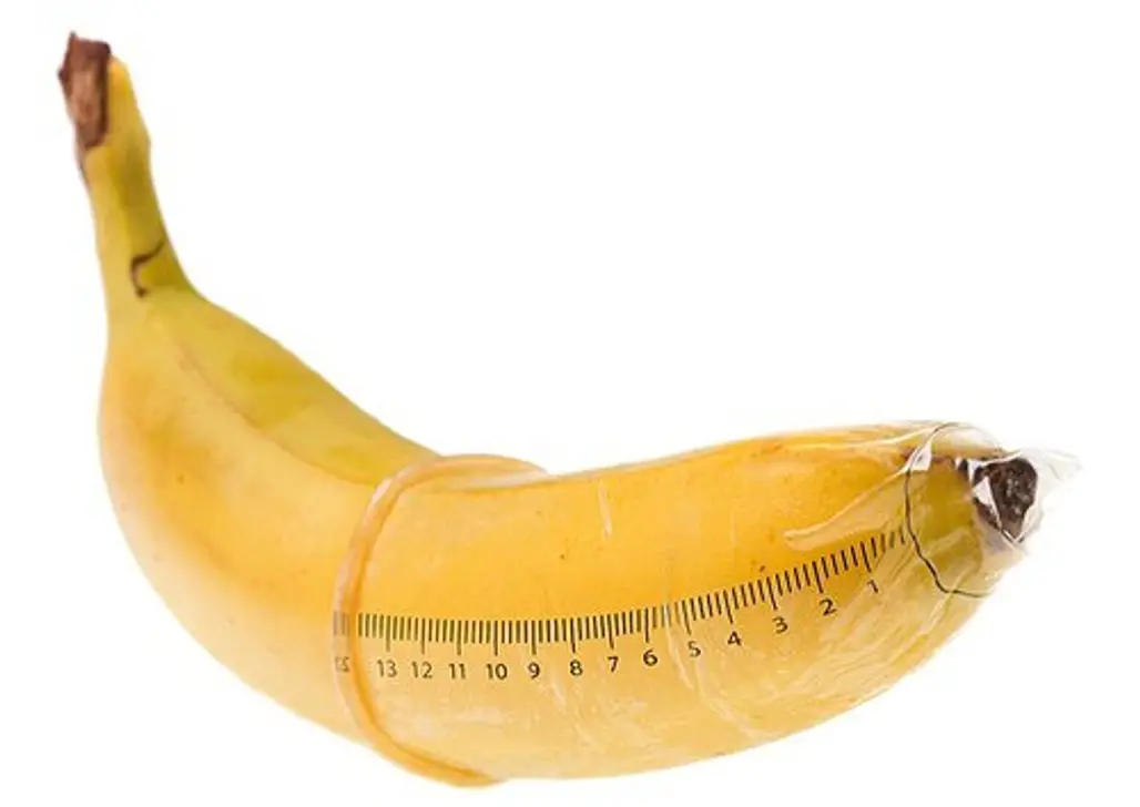 The Average Penis Size is 6 Inches