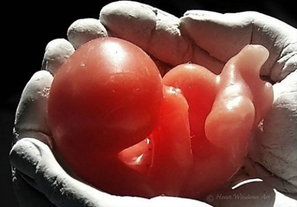 When Does a Fetus Develop Fingerprints?