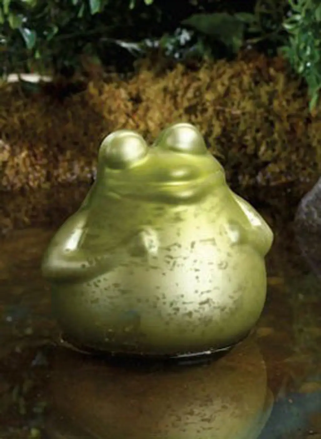 Floating Glass Frog