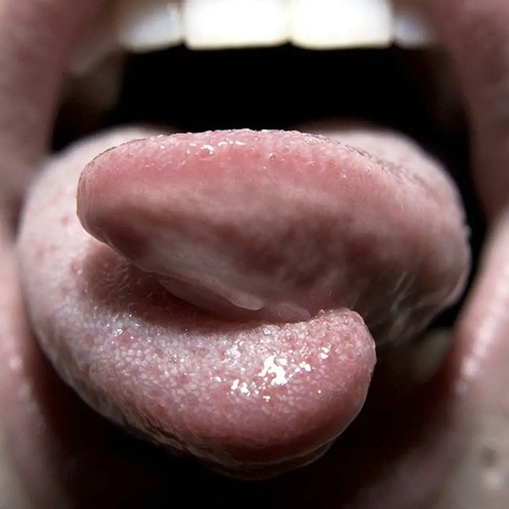 Control Your Tongue